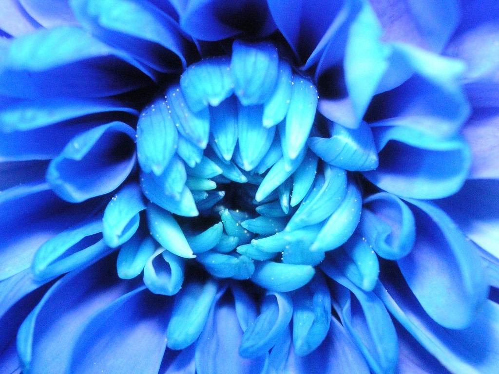 สีสันบนโลก 5