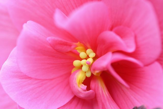 สีสันบนโลก 5