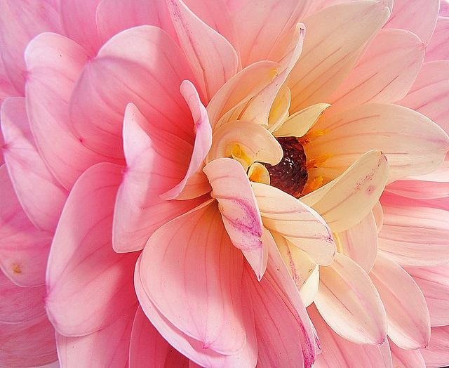 สีสันบนโลก 5