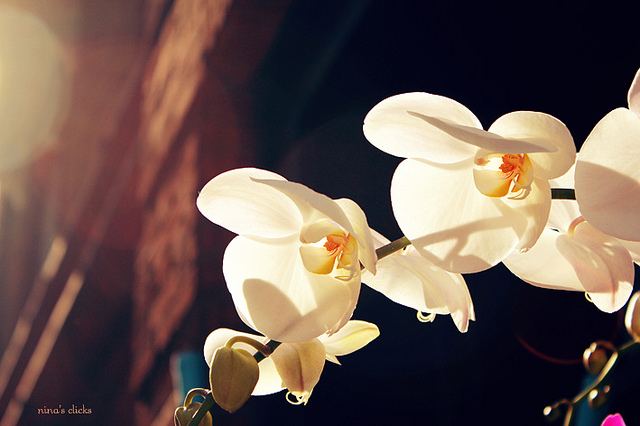 สีสันบนโลก 5