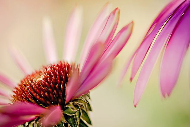 สีสันบนโลก 5