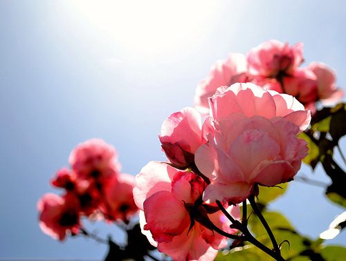 สีสันบนโลก 5