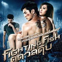 (Official Photo) Fighting Fish ดุ ดวล ดิบ