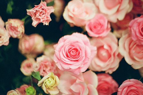 สีสันบนโลก 9