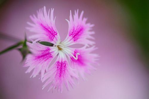 สีสันบนโลก 9