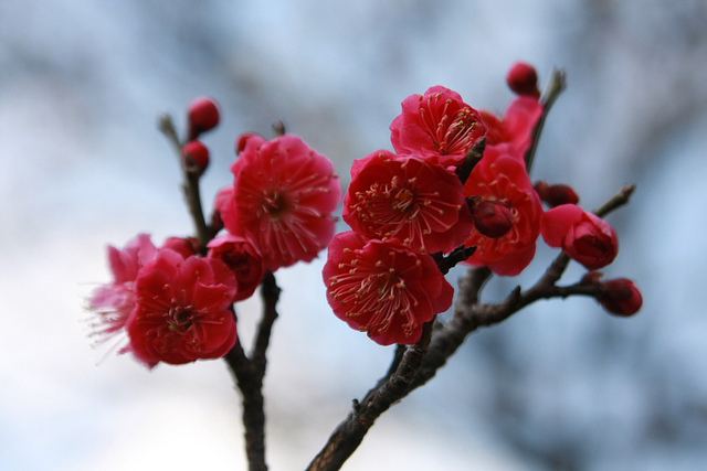 สีสันบนโลก 9