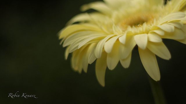 สีสันบนโลก 9