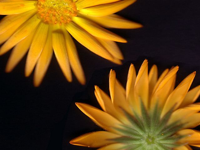 สีสันบนโลก 9