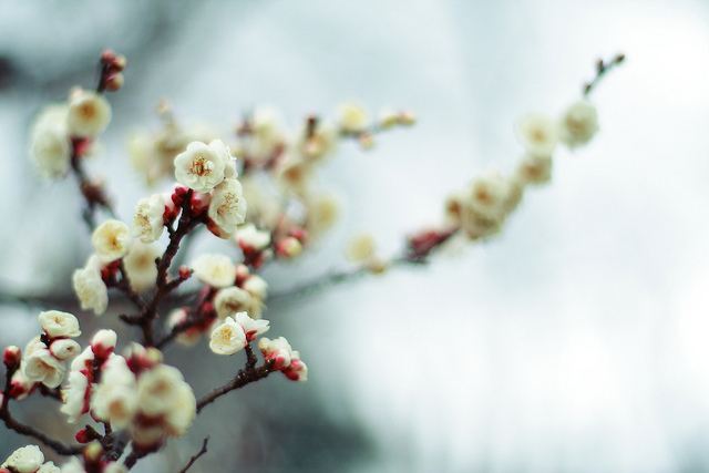 สีสันบนโลก 9