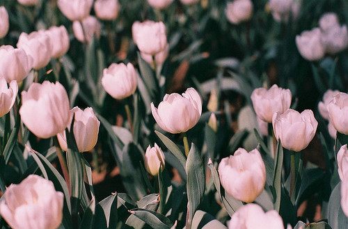 สีสันบนโลก 9