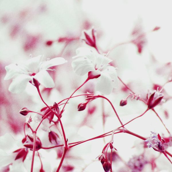 สีสันบนโลก 9