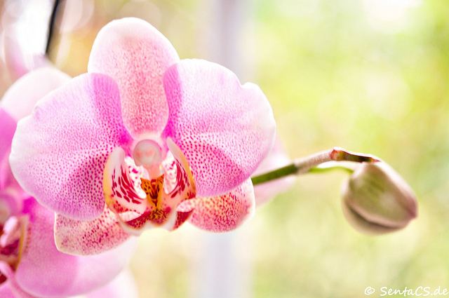 สีสันบนโลก 9