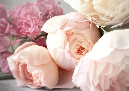 สีสันบนโลก 9