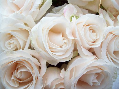 สีสันบนโลก 9