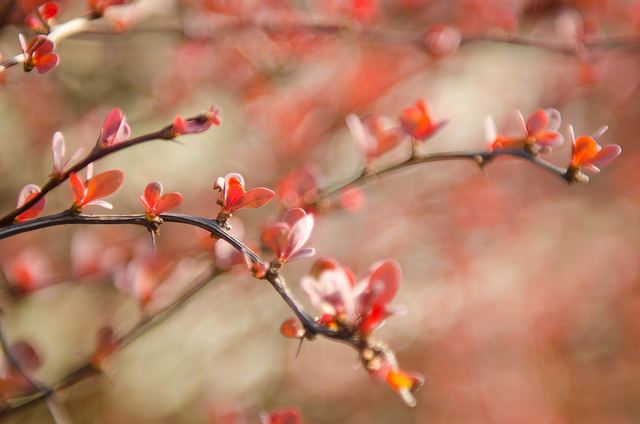 สีสันบนโลก 9