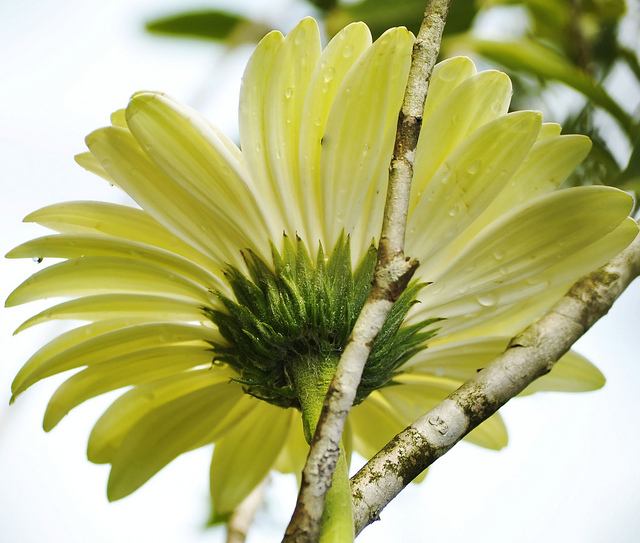 สีสันบนโลก 9