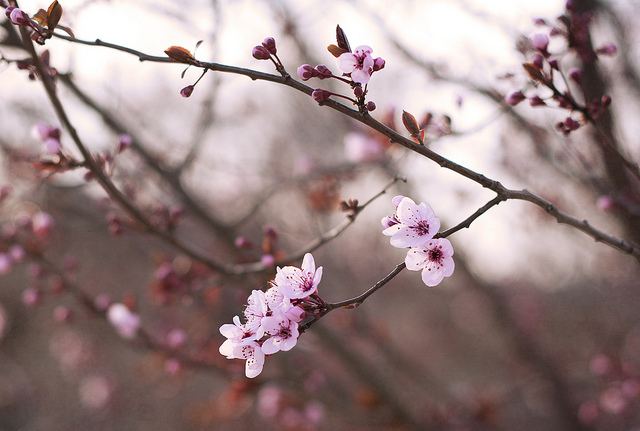 สีสันบนโลก 9