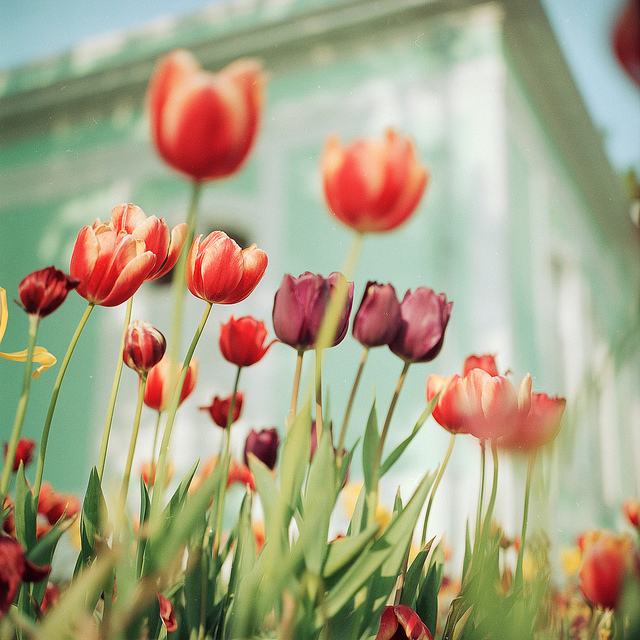 สีสันบนโลก 9