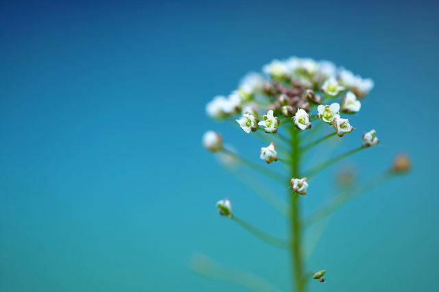 สีสันบนโลก 9