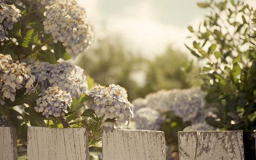 สีสันบนโลก 9