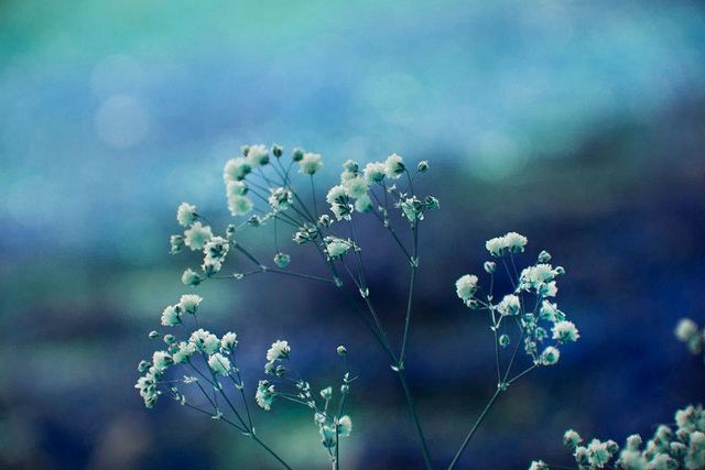 สีสันบนโลก 9