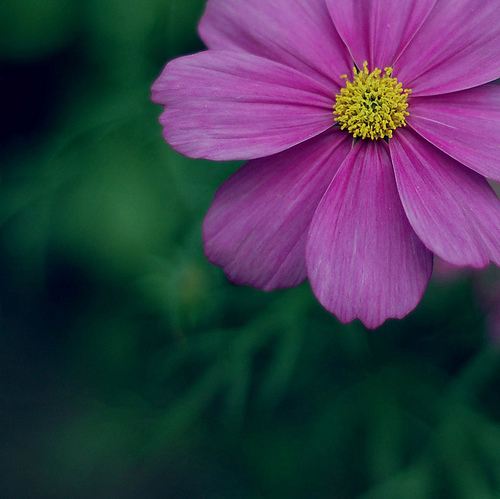 สีสันบนโลก 9