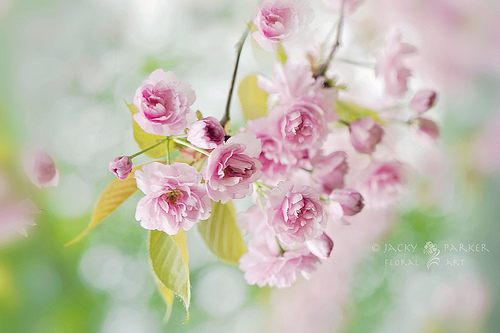 สีสันบนโลก 9