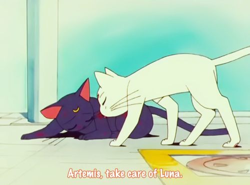 คนรัก Luna and Artemis และไดอาน่า