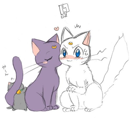 คนรัก Luna and Artemis และไดอาน่า