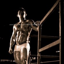 introducing COBALT By cobalt