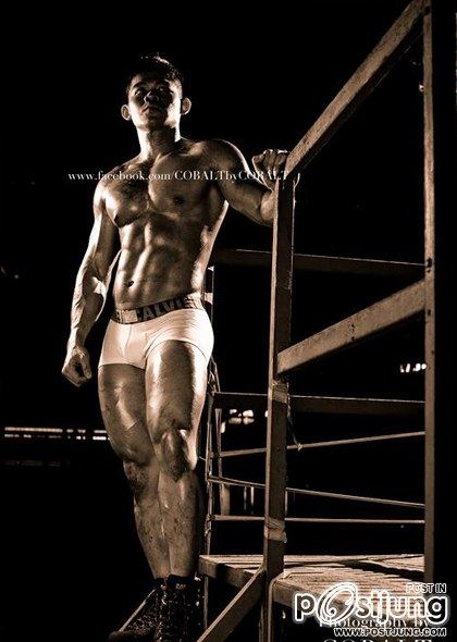 introducing COBALT By cobalt