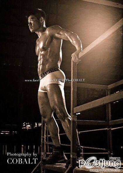 introducing COBALT By cobalt