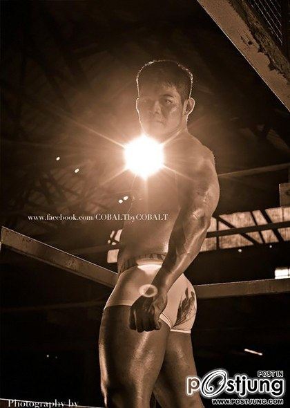 introducing COBALT By cobalt