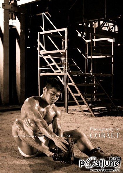 introducing COBALT By cobalt