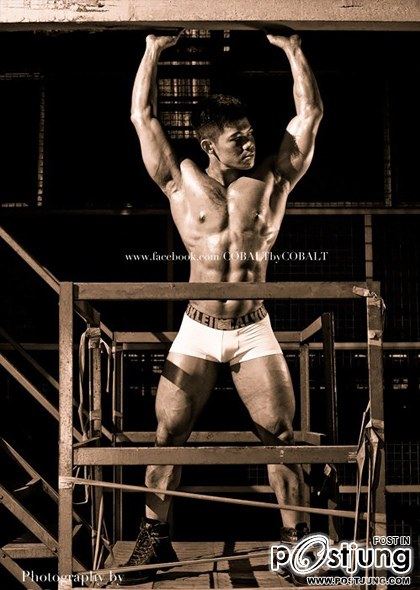 introducing COBALT By cobalt