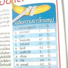 ไทยอยู่อันดับที่ 19 ที่......ใหญ่ที่สุด