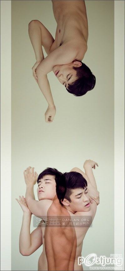 ศิลปะการถ่ายแบบ