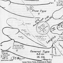 ตำรากายวิภาคพื้นฐานขององคชาติค่ะ