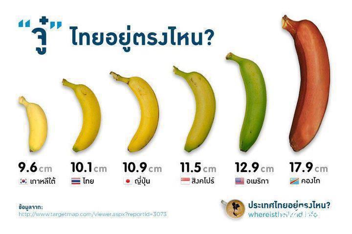 ตำรากายวิภาคพื้นฐานขององคชาติค่ะ