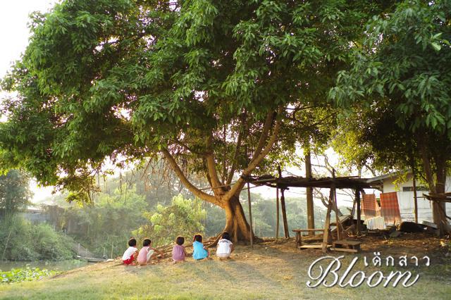 หนังใหม่ เด็กสาว