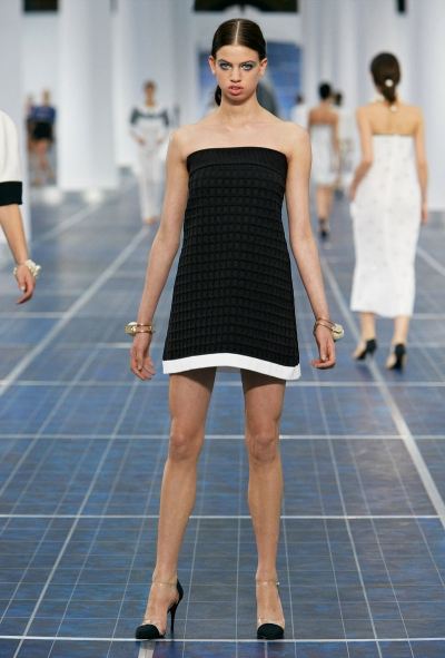 Chanel Spring Summer 2013 (Womenswear Collection)