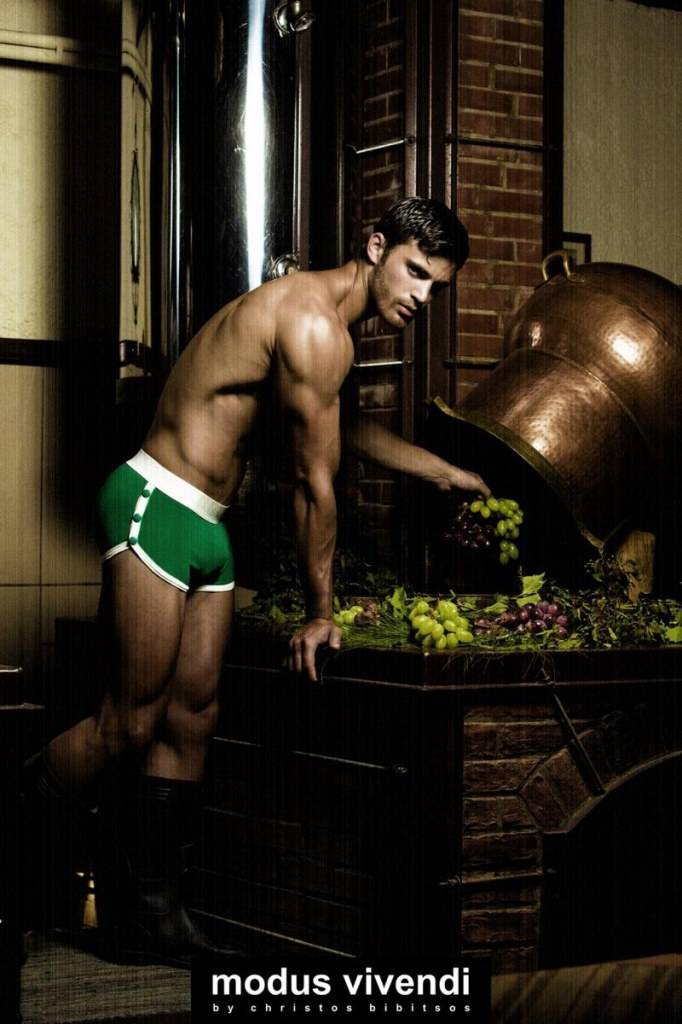 Modus Vivendi underwear : 2013 Collection