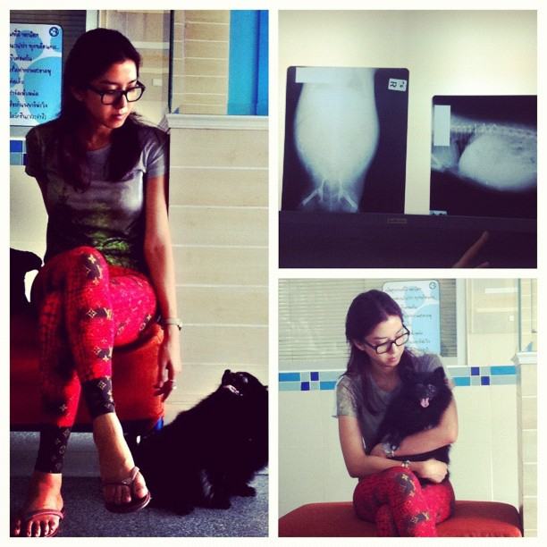 ไอซ์ อภิษฎา สุดเศร้า น้องหมาแสนรัก เสียชีวิต