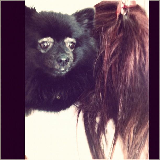 ไอซ์ อภิษฎา สุดเศร้า น้องหมาแสนรัก เสียชีวิต