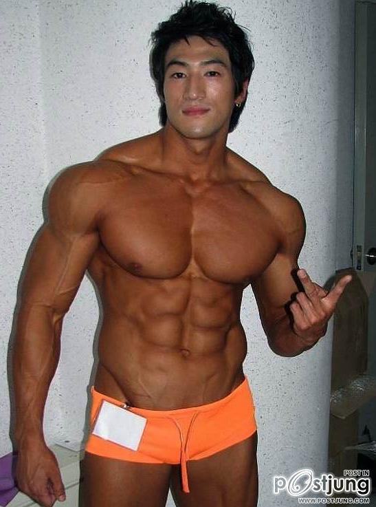 Asia Muscle
