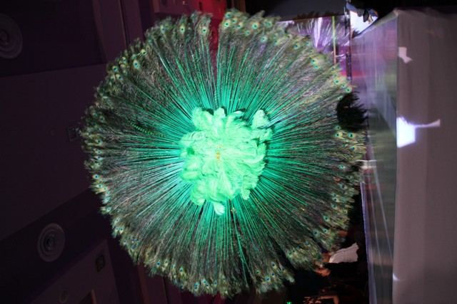 มาแล้วตัวเก็งชุดประจำชาติปีนี้ Miss Panama Universe National Costume 2012