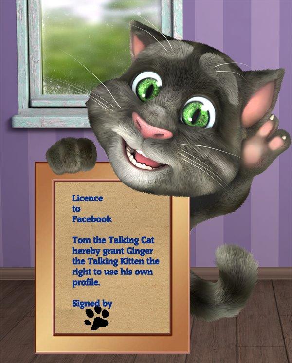 Talking Tom Cat