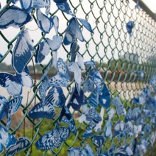 Magnetized Cyanotype Butterfly Installations by Tasha Lewis