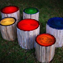 Tree Ring Lights by Judson Beaumont