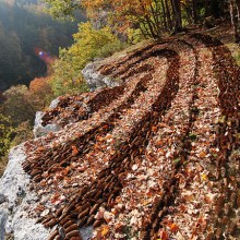 Pine Cone Land Art from Sylvain Meyer